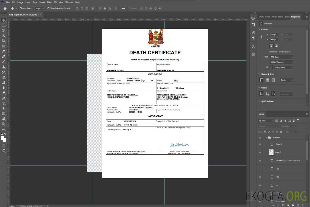 Modèle Word et PDF de certificat de décès d'Hawaï template Modèle Word et PDF de certificat de décès d'Hawaï template